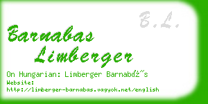 barnabas limberger business card